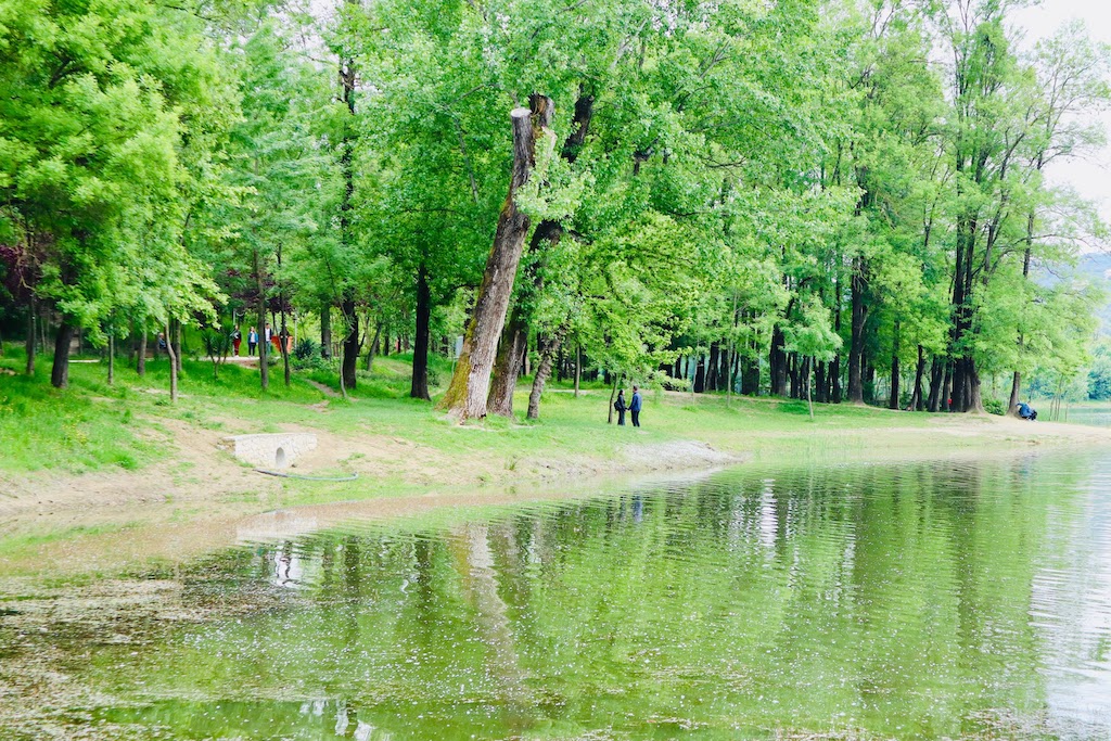 Het park van Tirana, de plek waar veel verliefde stellen afspreken.
