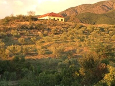 ZADRIMA-960x530 ZADRIMA