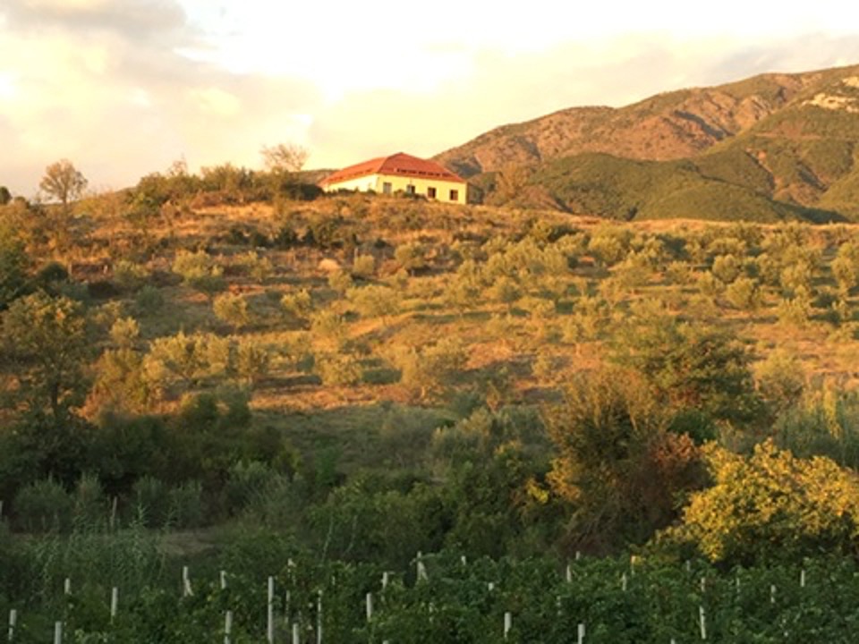 Het platteland van regio Zadrima.