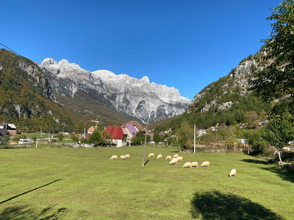 Dorp Theth in Noord albanie; landschap met schaapjes en hoge bergen.