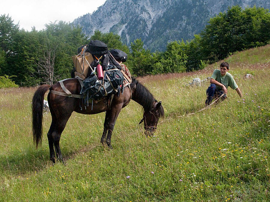 Valbona-Theth, gids met paard.