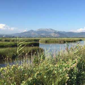 Lagune- ishull lezha