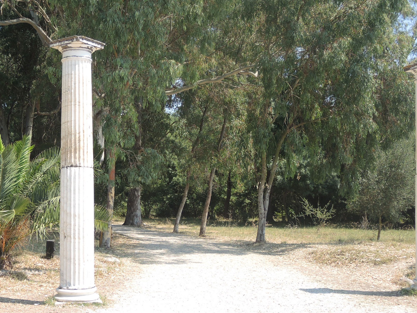 Zuilen-in-heuvel-Butrint