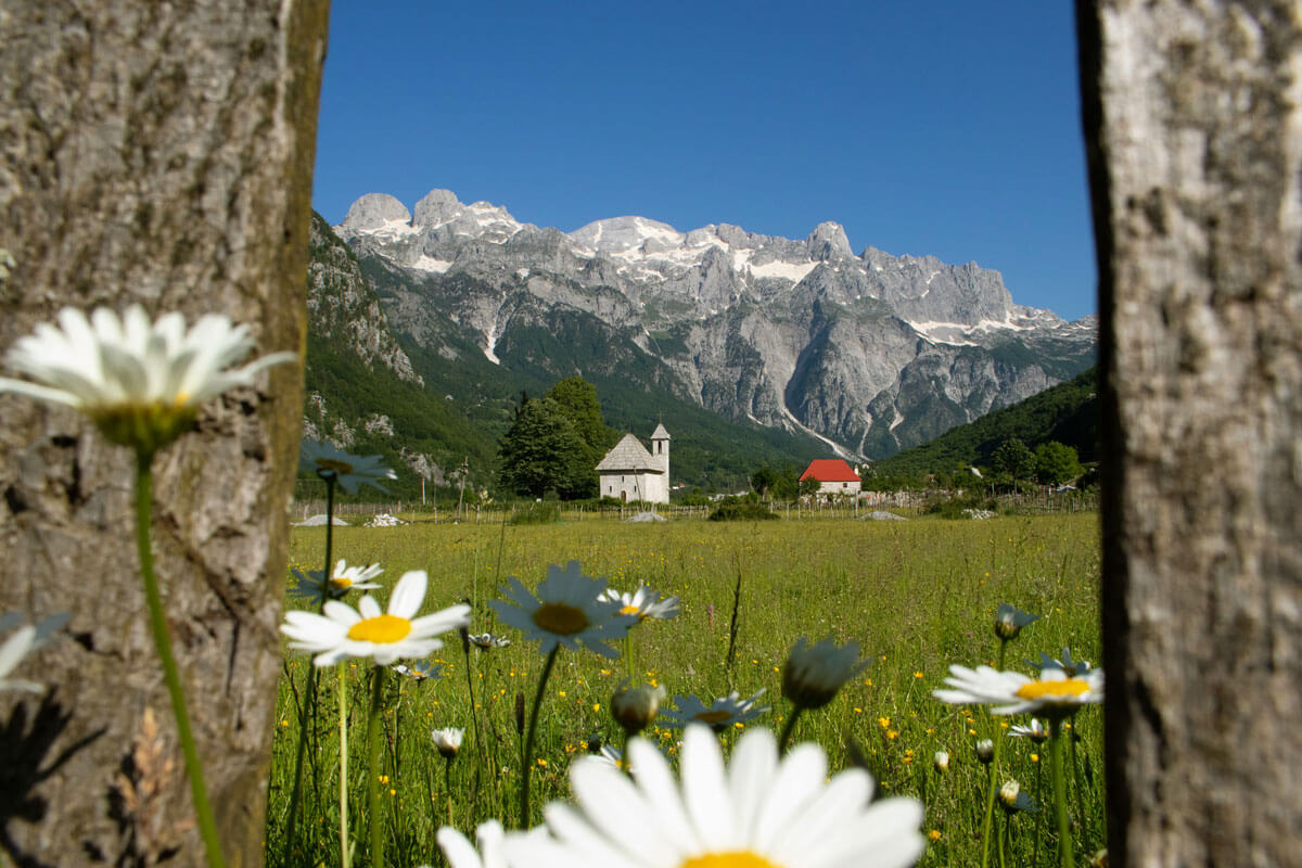 Reisadvies Albanie - theth-albanie bloemen kerk van theth