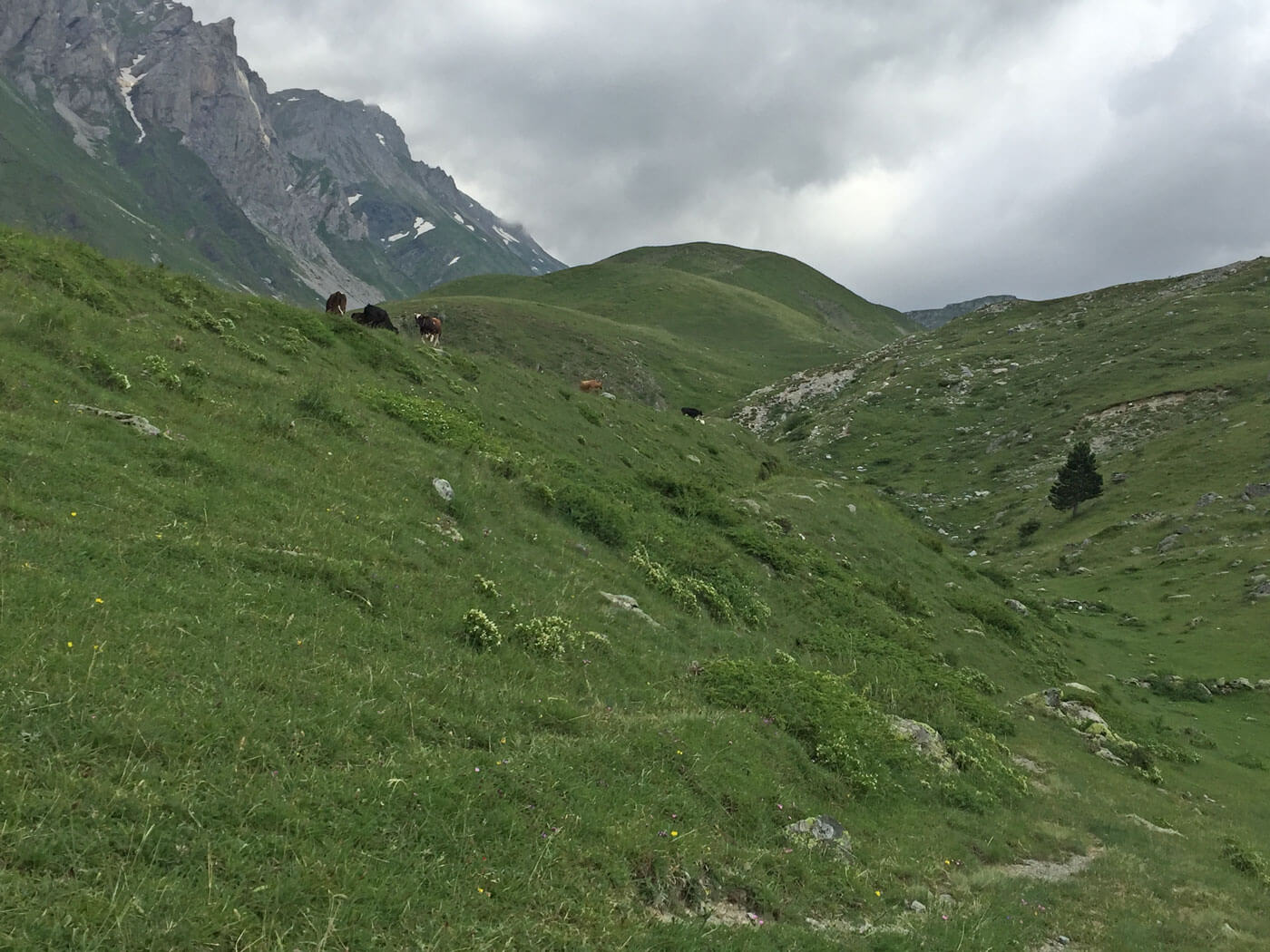 Vlak onder de top van Korab.