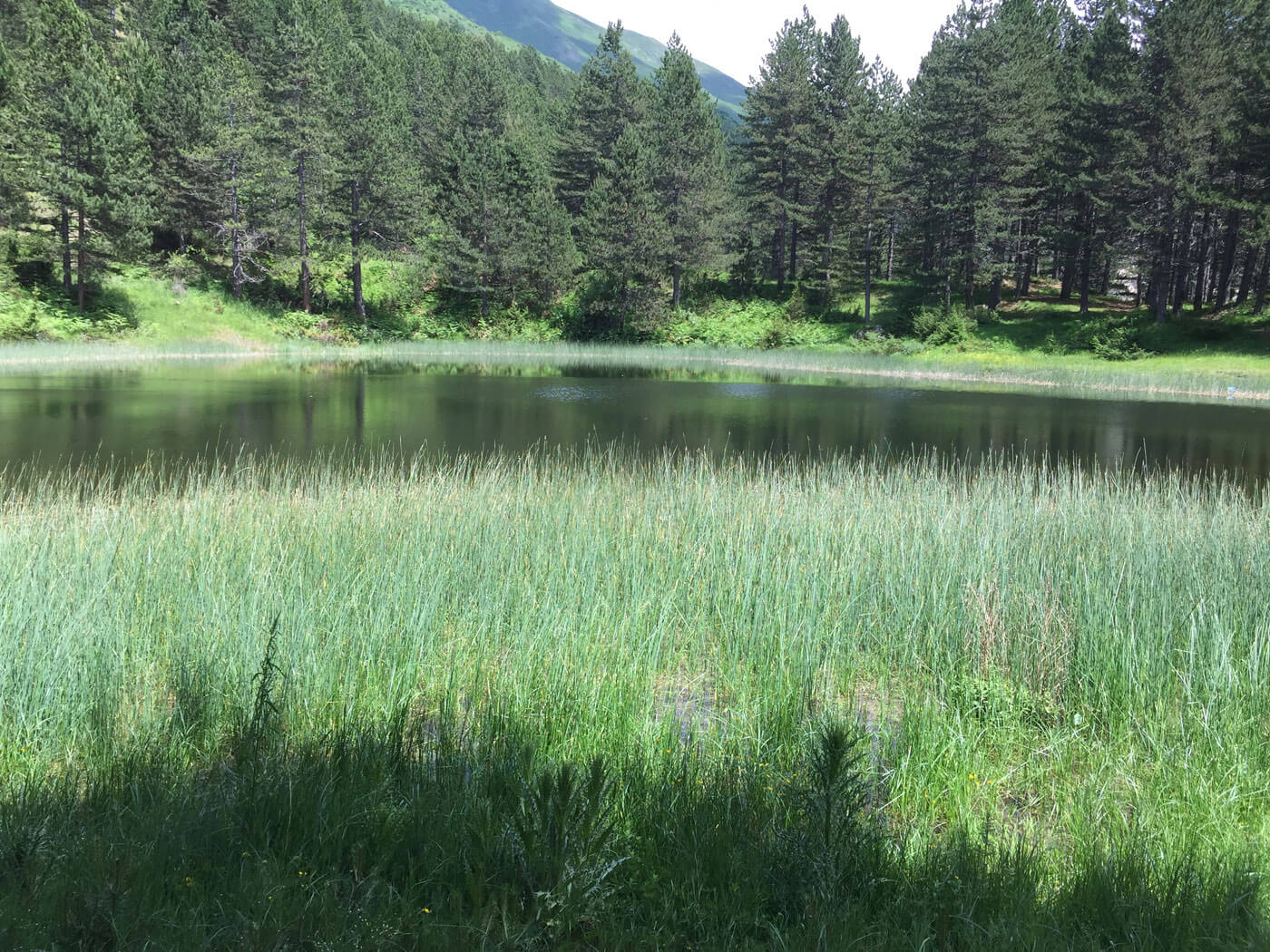 Radomire, Het Zwarte Meer.