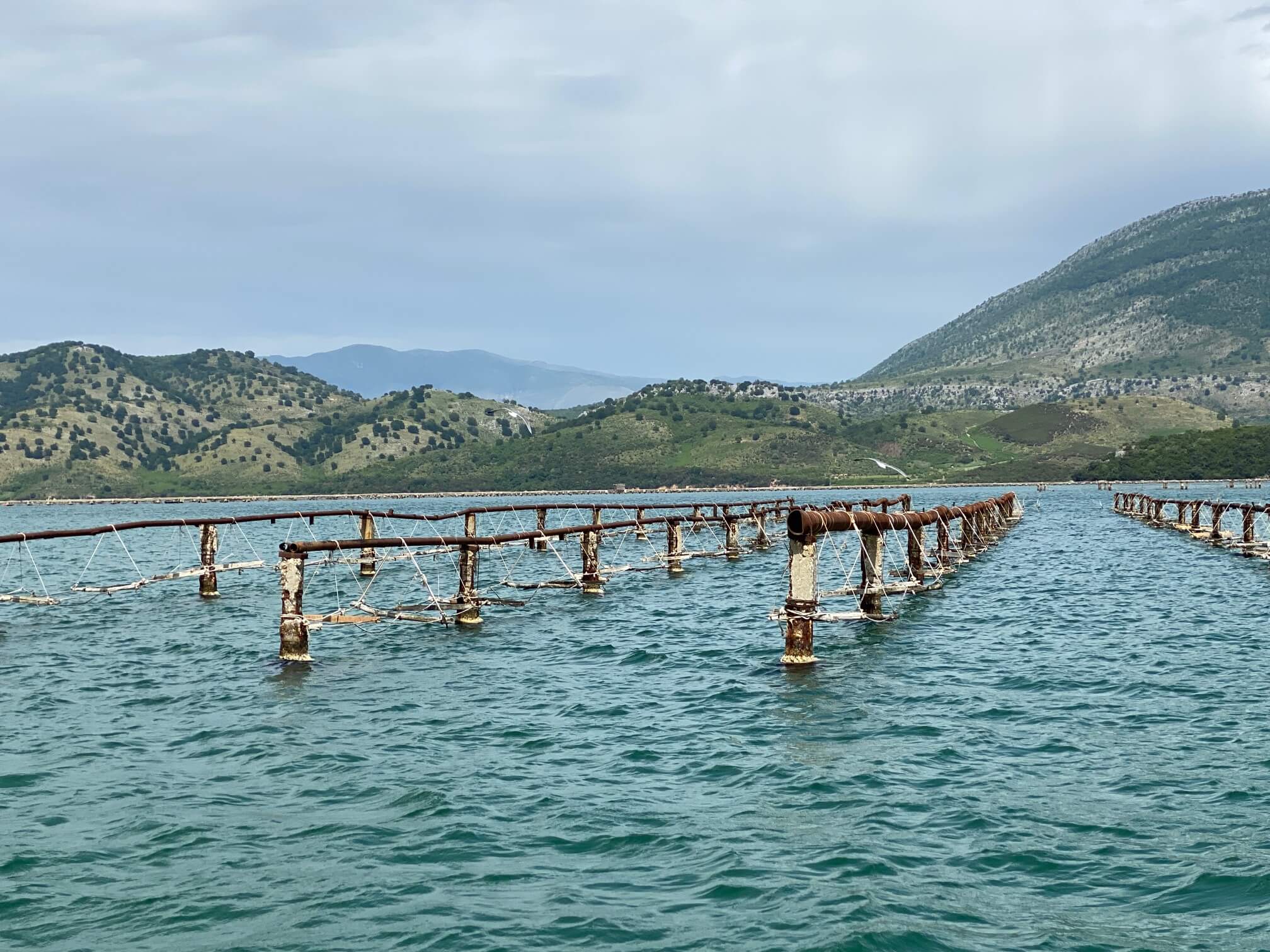 stellages mosselhuis butrint