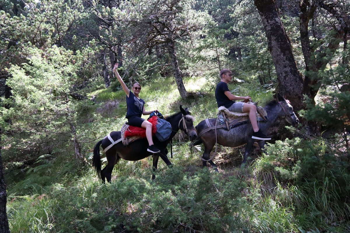 op de ezel, tomor gebergte albanie