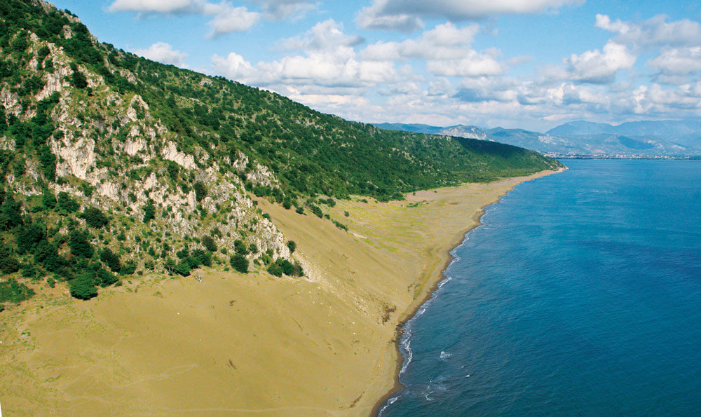 Zandduinen-rana-e-hedhun