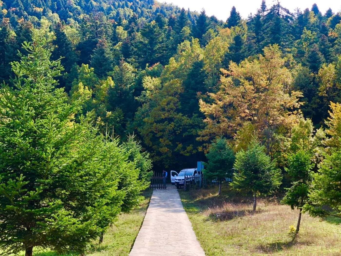 Off-road jeep tour door Nationaal Park Hotova Dangëlli Albanië