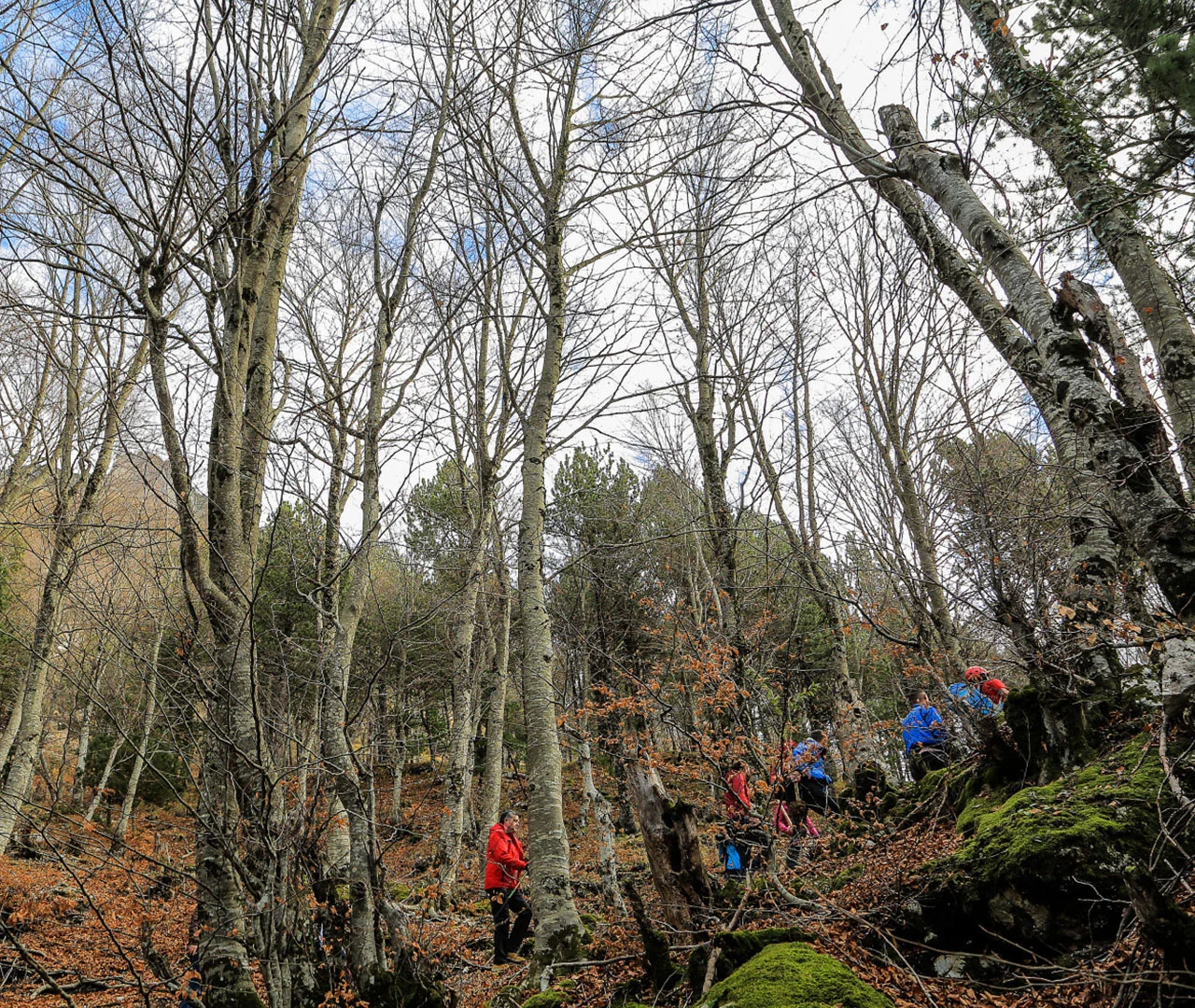 Tomor 4×4 & kajakavontuur