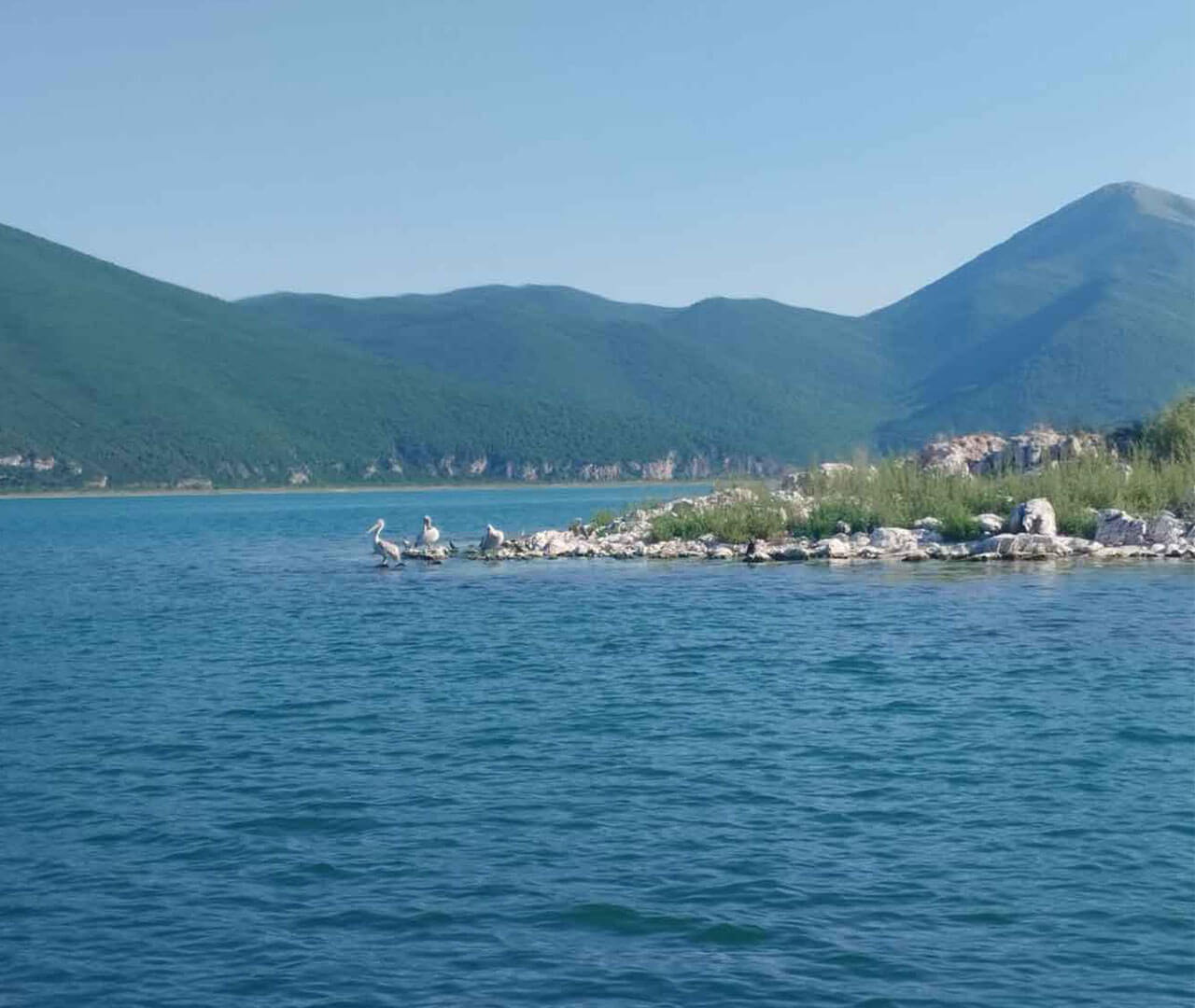 Boottocht-Prespa-meer