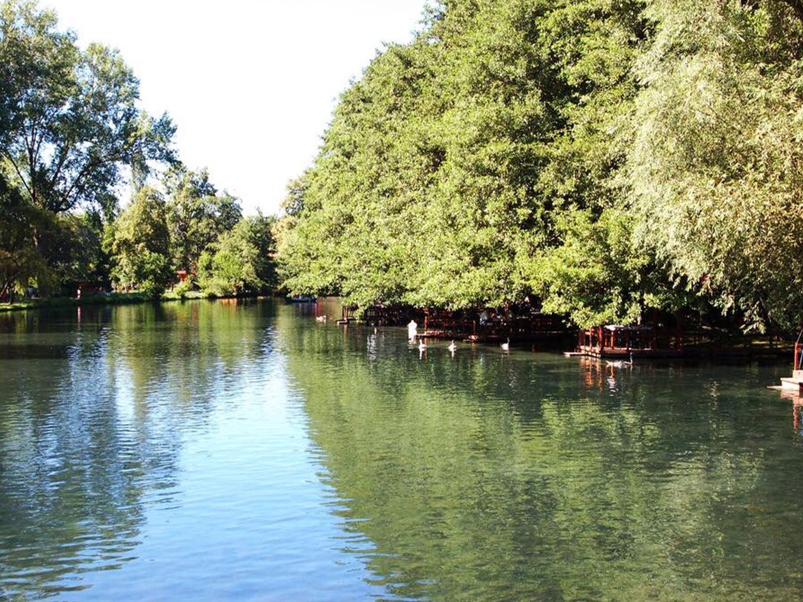 park in Drilon-Pogradec