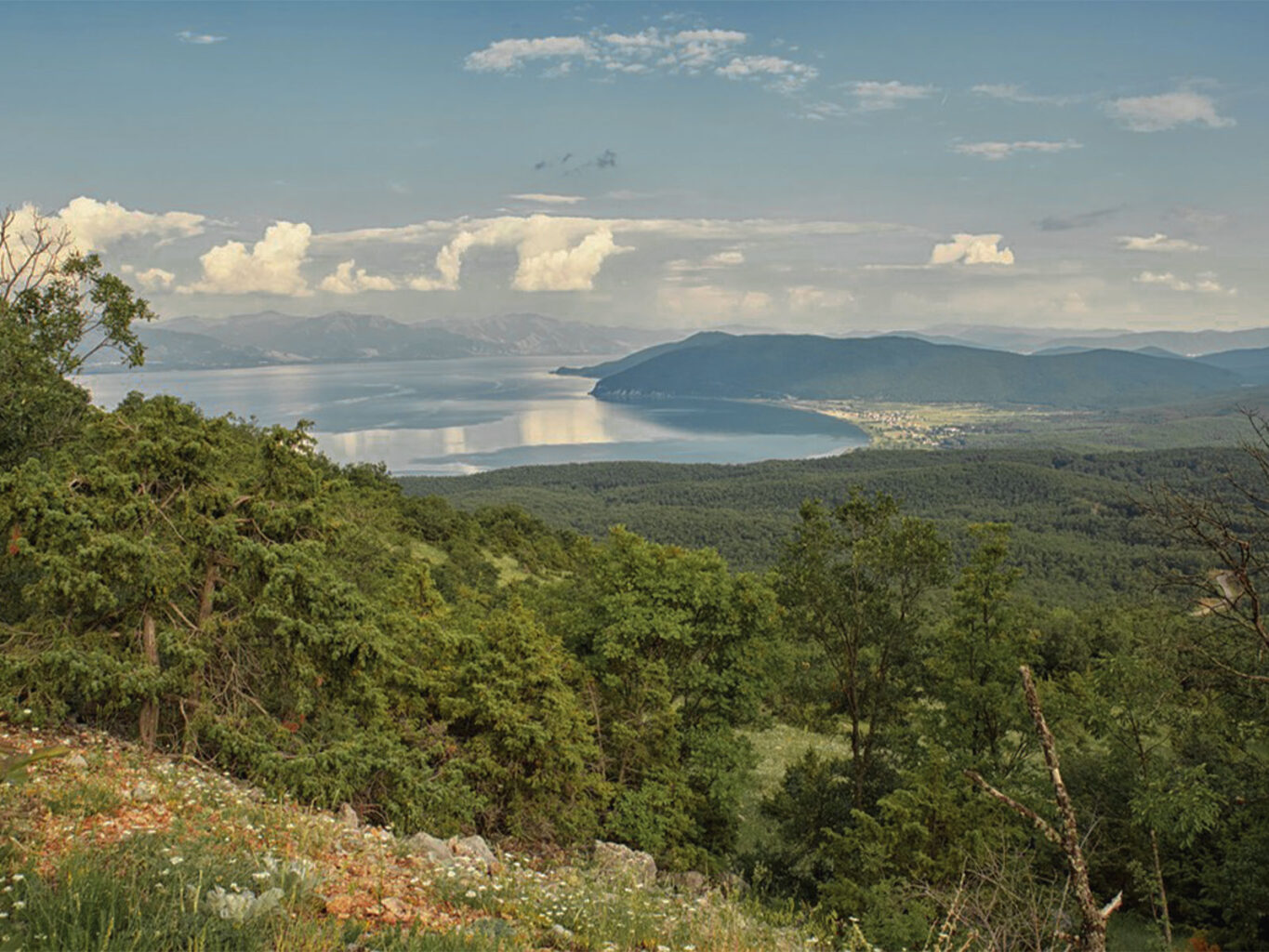 prespa-national-park
