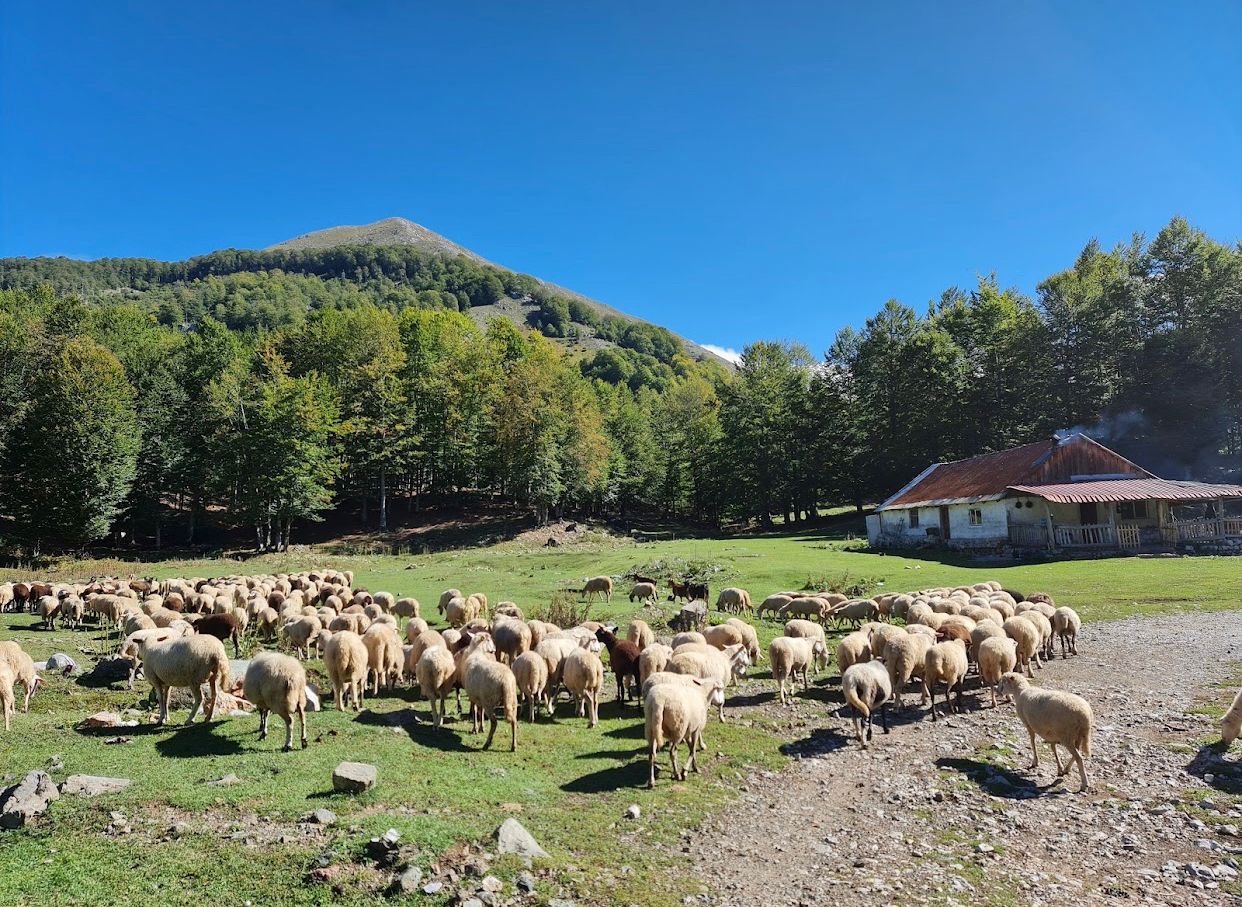 shebenik-jabllanica nationaal park
