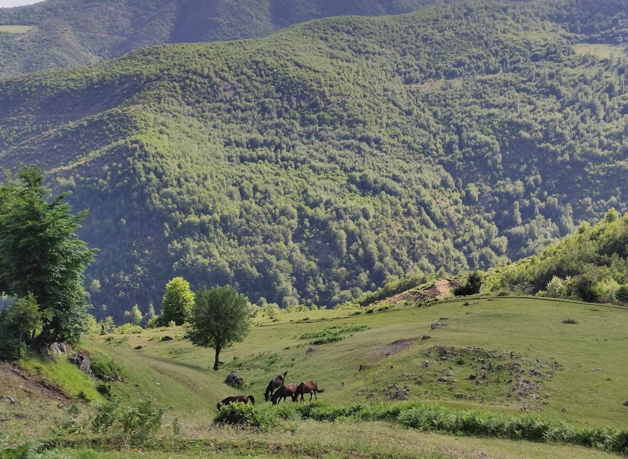 shebenik-jabllanica nationaal park