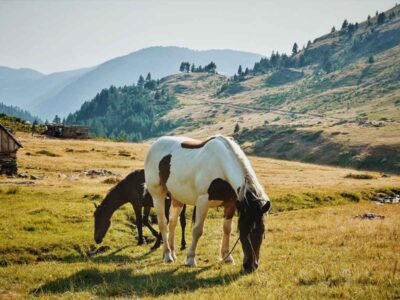 wandelen in Doberdol
