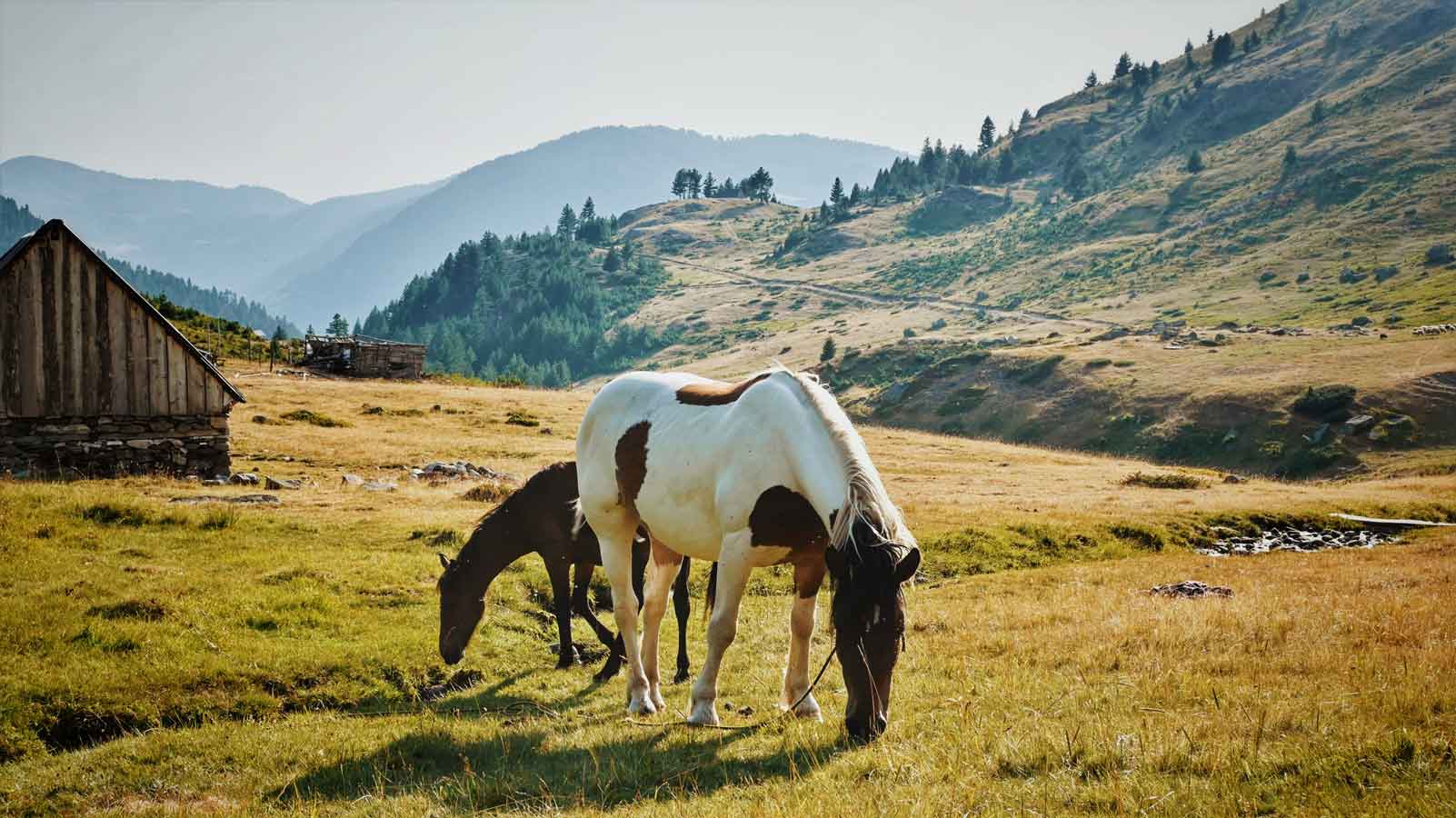 wandelen in Doberdol