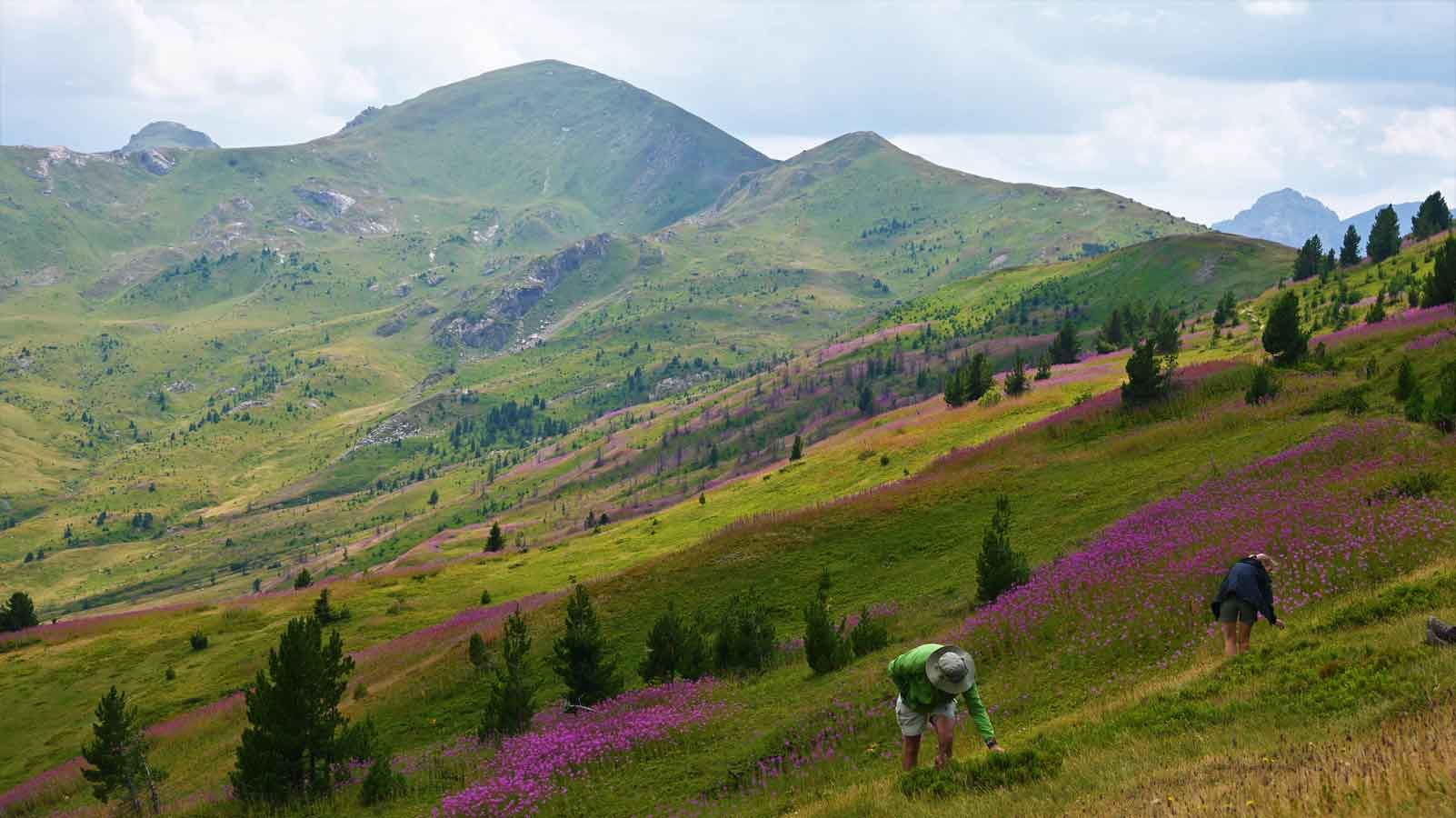 Wandelen in Milisevc