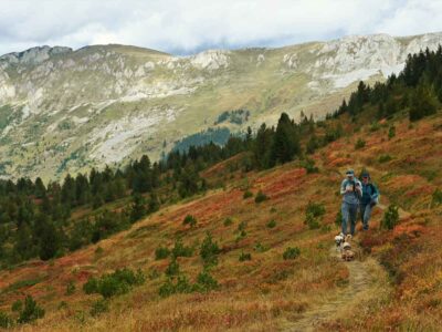 Weg-naar-Babino-Polje-van-Kuqishte