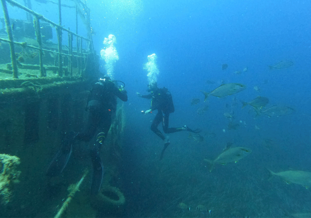 Duikers verkennen een scheepswrak bij Palasë, omringd door vissen.