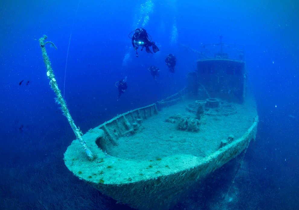 Groep duikers zwemt rond een gezonken schip in de zee van Palasë.