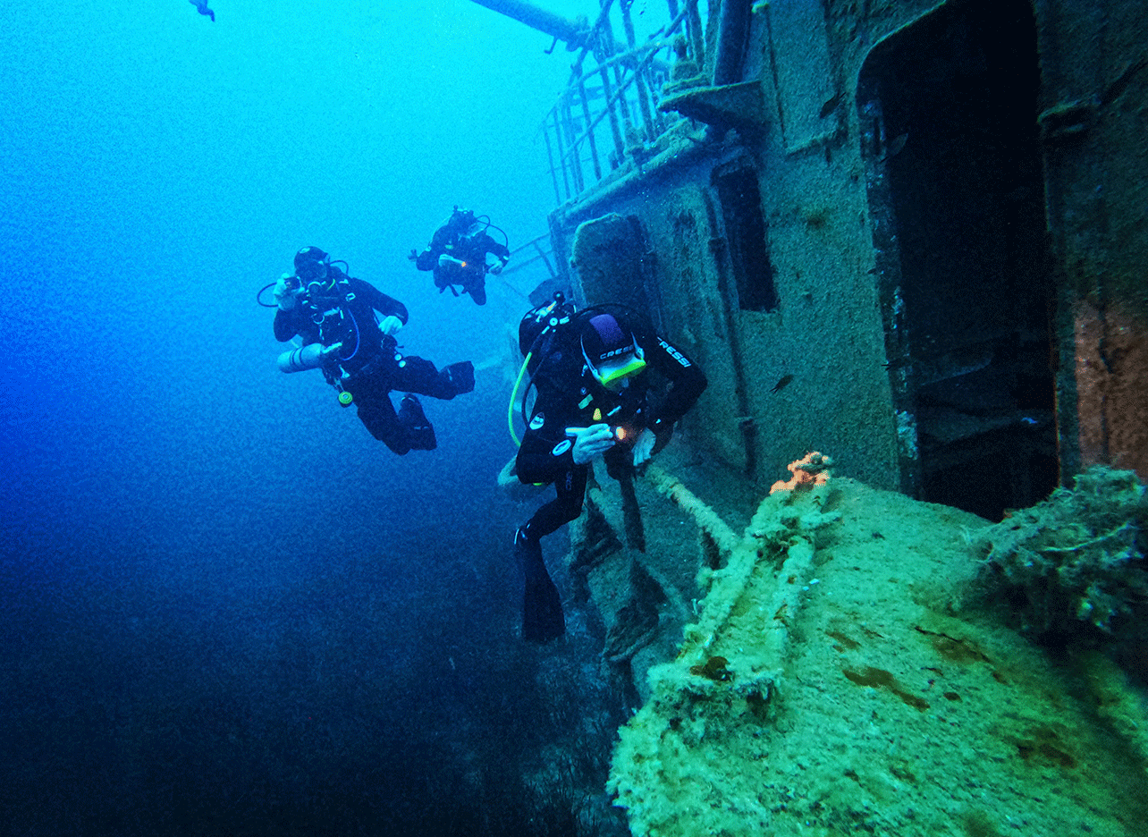 Duiker inspecteert een oud wrak begroeid met zeeleven.