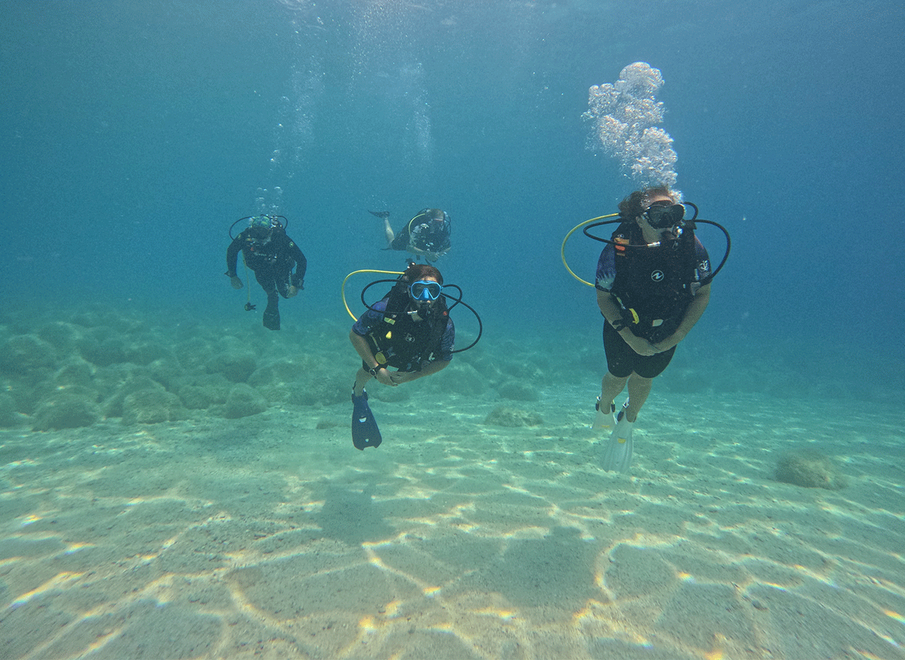 Beginnende duikers zwemmen in ondiep, helder water.