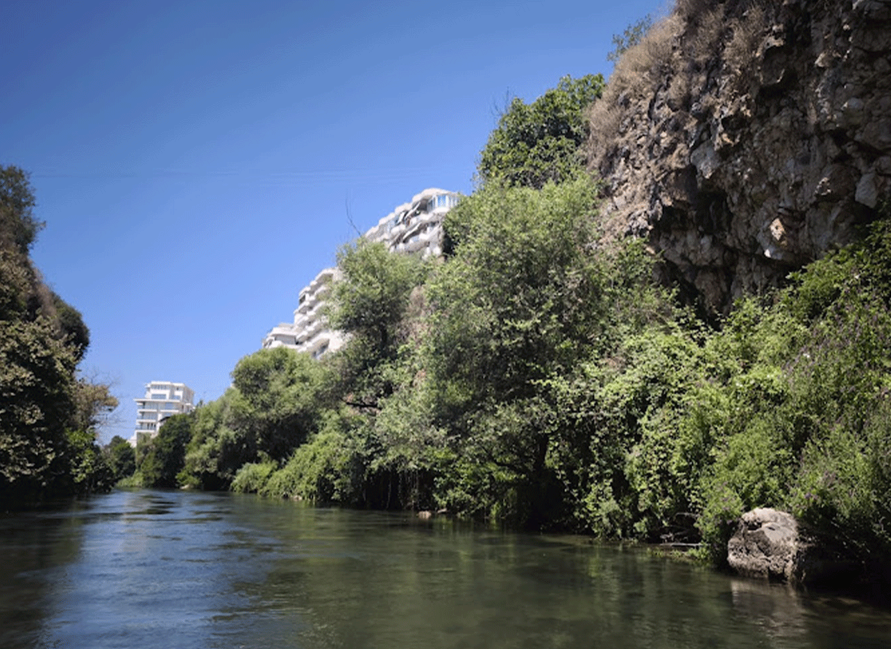 Uitzicht op de Bistrica-rivier met groene natuur