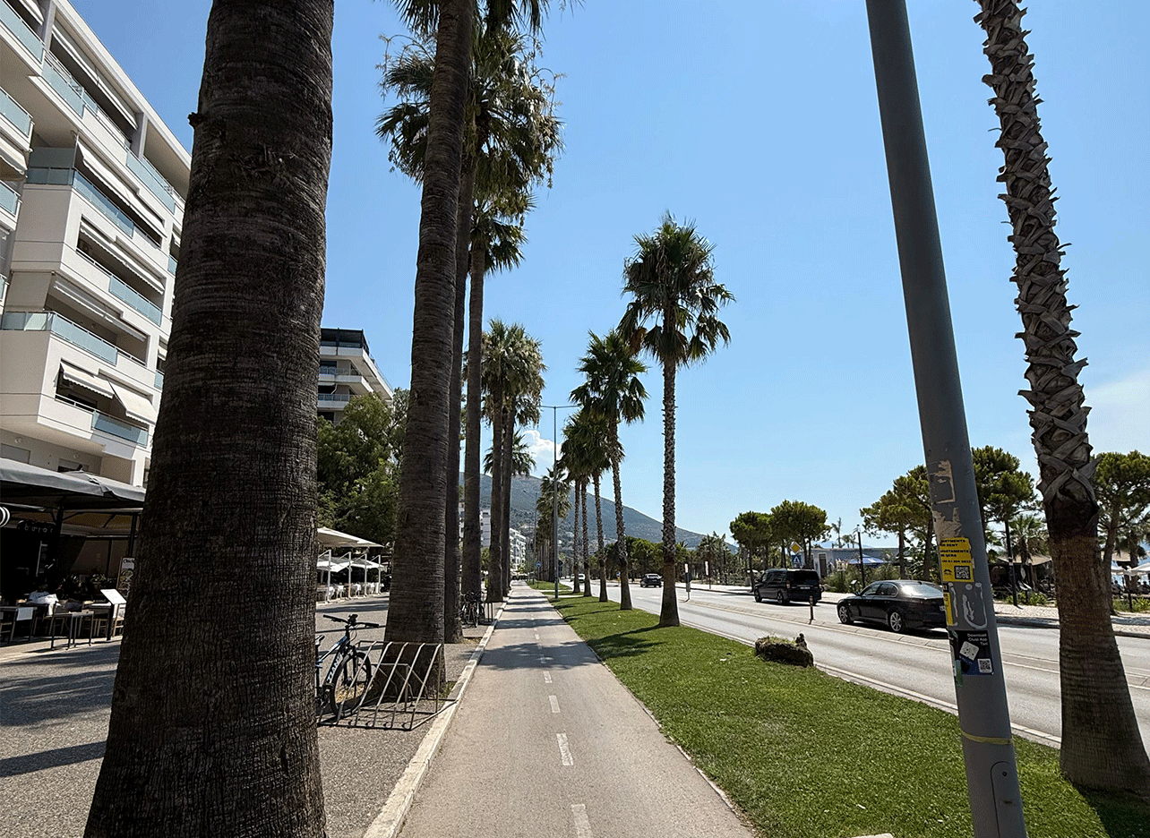 Brede boulevard met palmbomen en fietspad onder een heldere blauwe lucht
