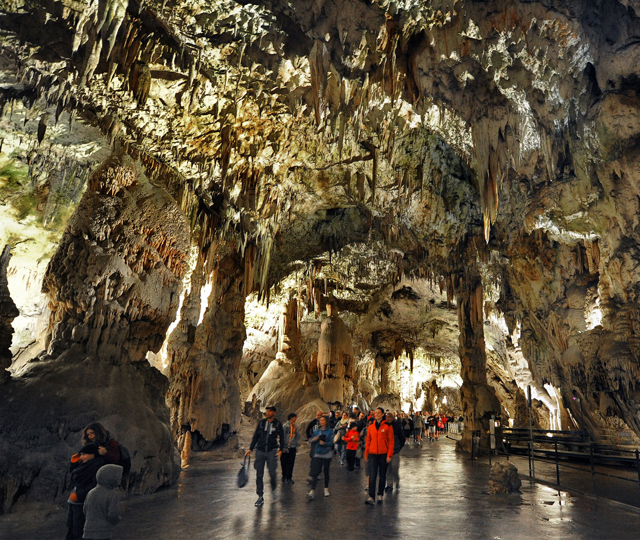 Postojna grotten Slovenia